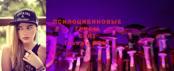 соль ск Аркадак