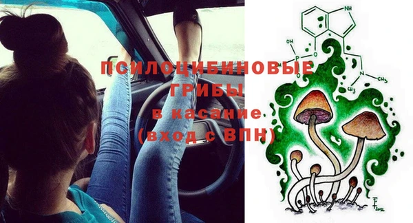 винт Армянск