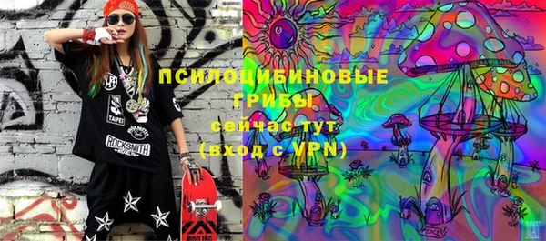 винт Армянск